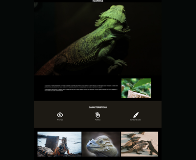 imagen de pagina web de iguanas